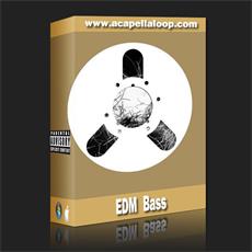 Bass素材/EDM Bass